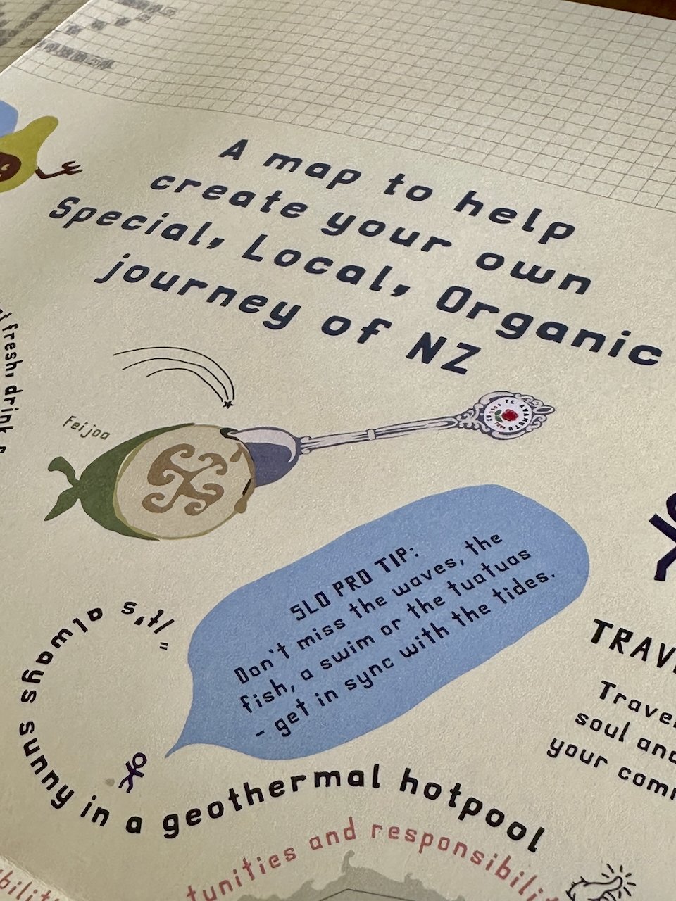 NZ Travel Well SLO Traveller Map IMG_4731.jpeg