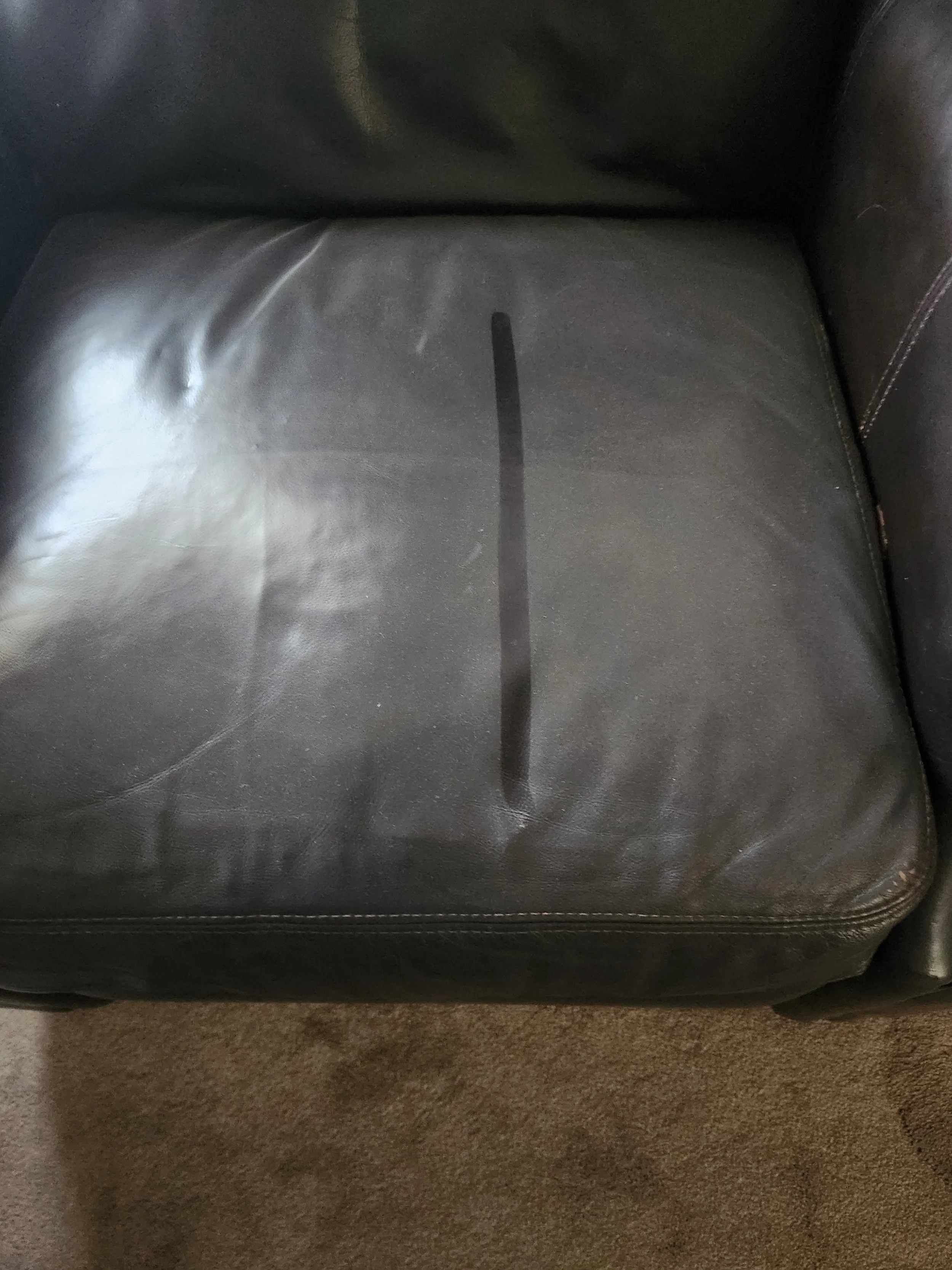 2023 Trip to 2026 Trip