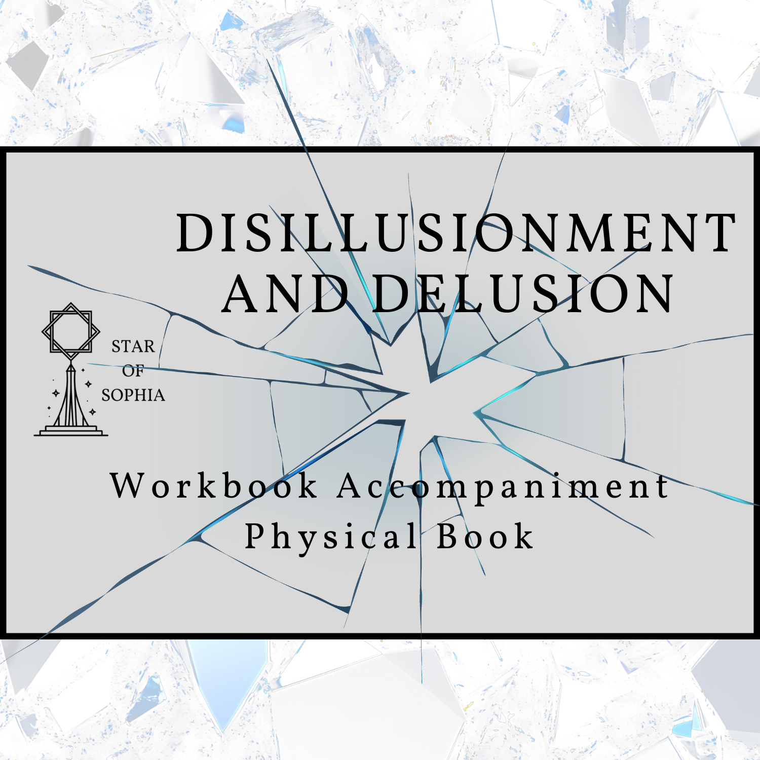 Disillusionment and Delusion Physical Workbook Accompaniment