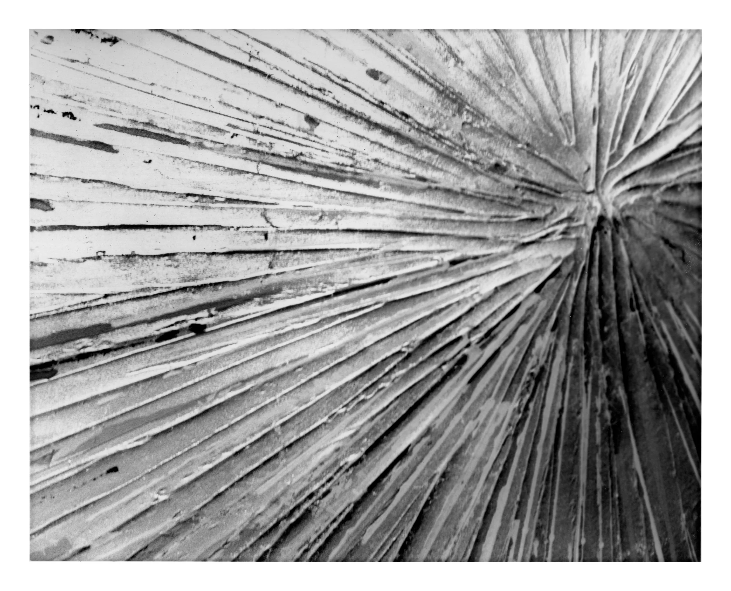 Tanner H. - Leading Lines 3