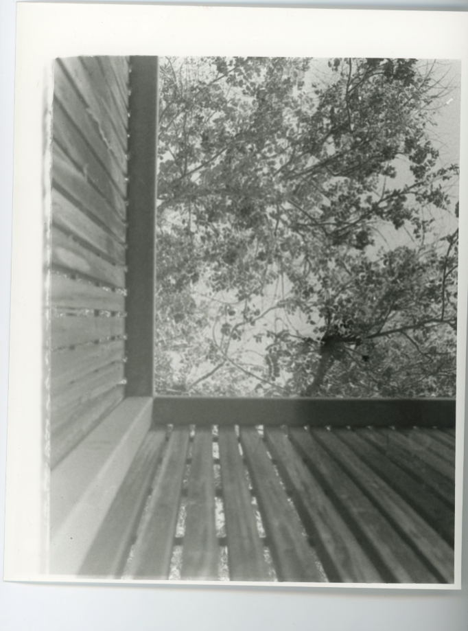 Joshua F. - Backyard Leading Lines