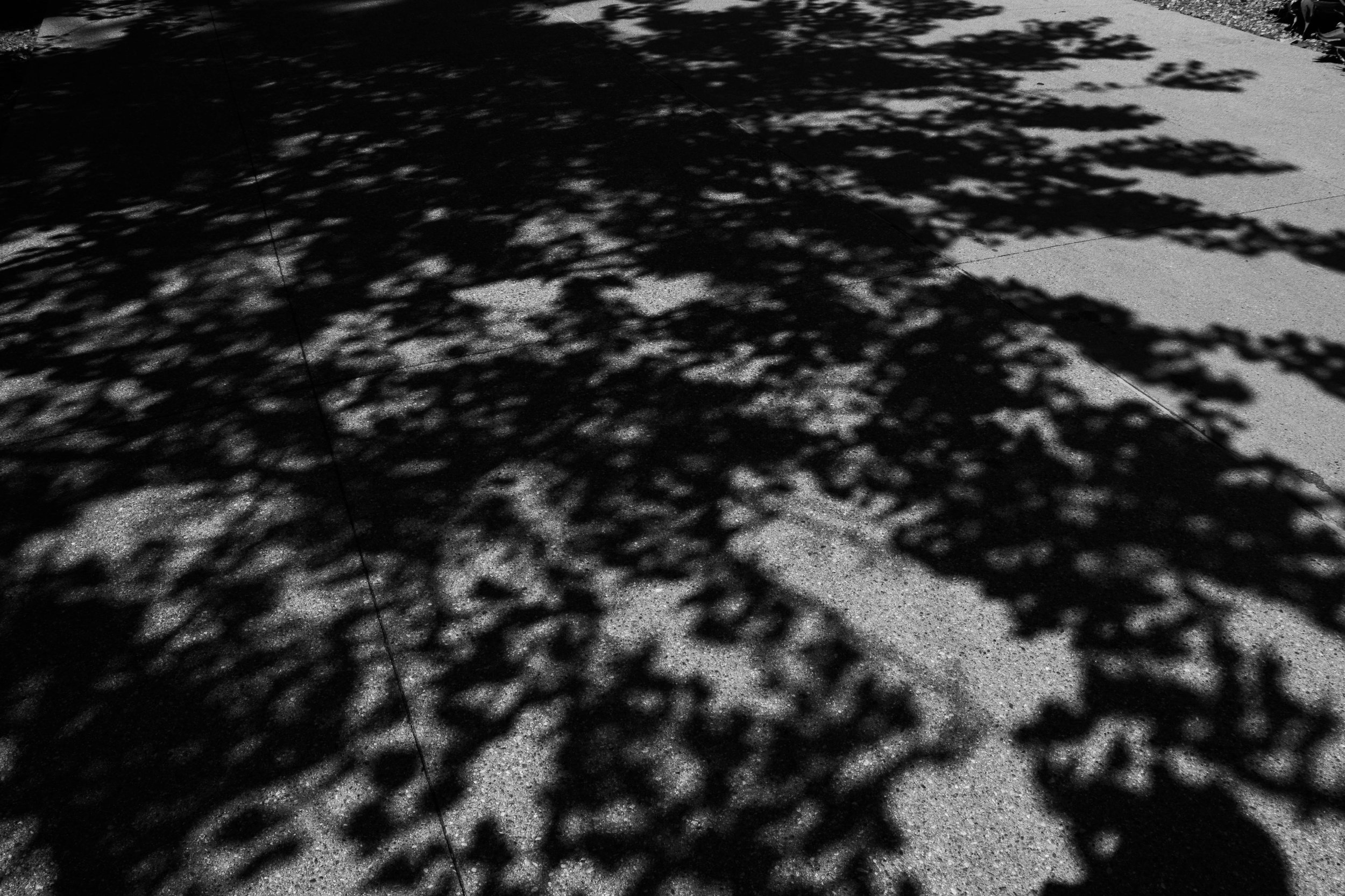 jonesmadison_12331705_255151645_Jones_Madison_Project 1-10.jpg