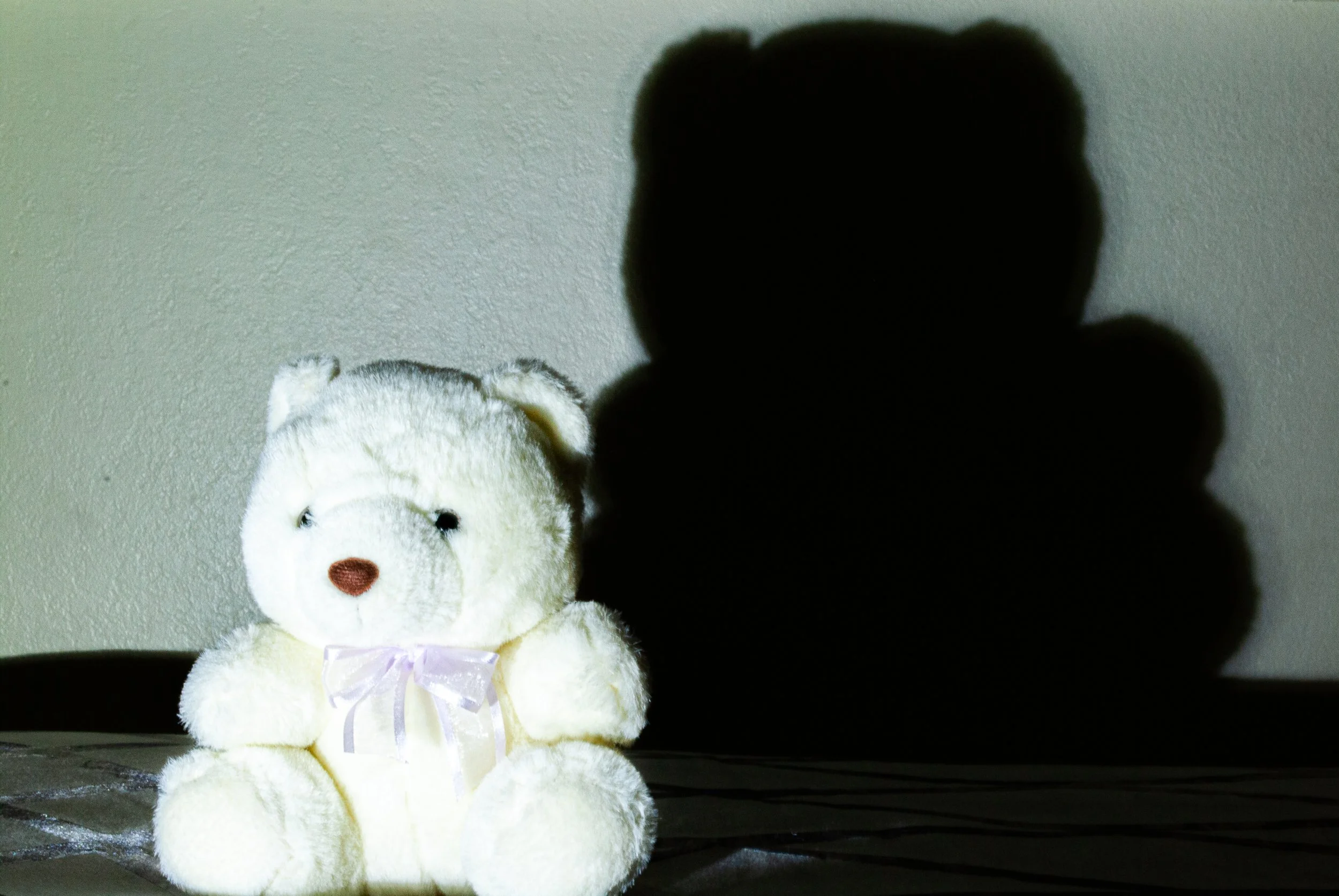 nguyenjulia_12457364_254777080_Nguyen_Julia_Light Shadow Reflection (Bear 1).jpg