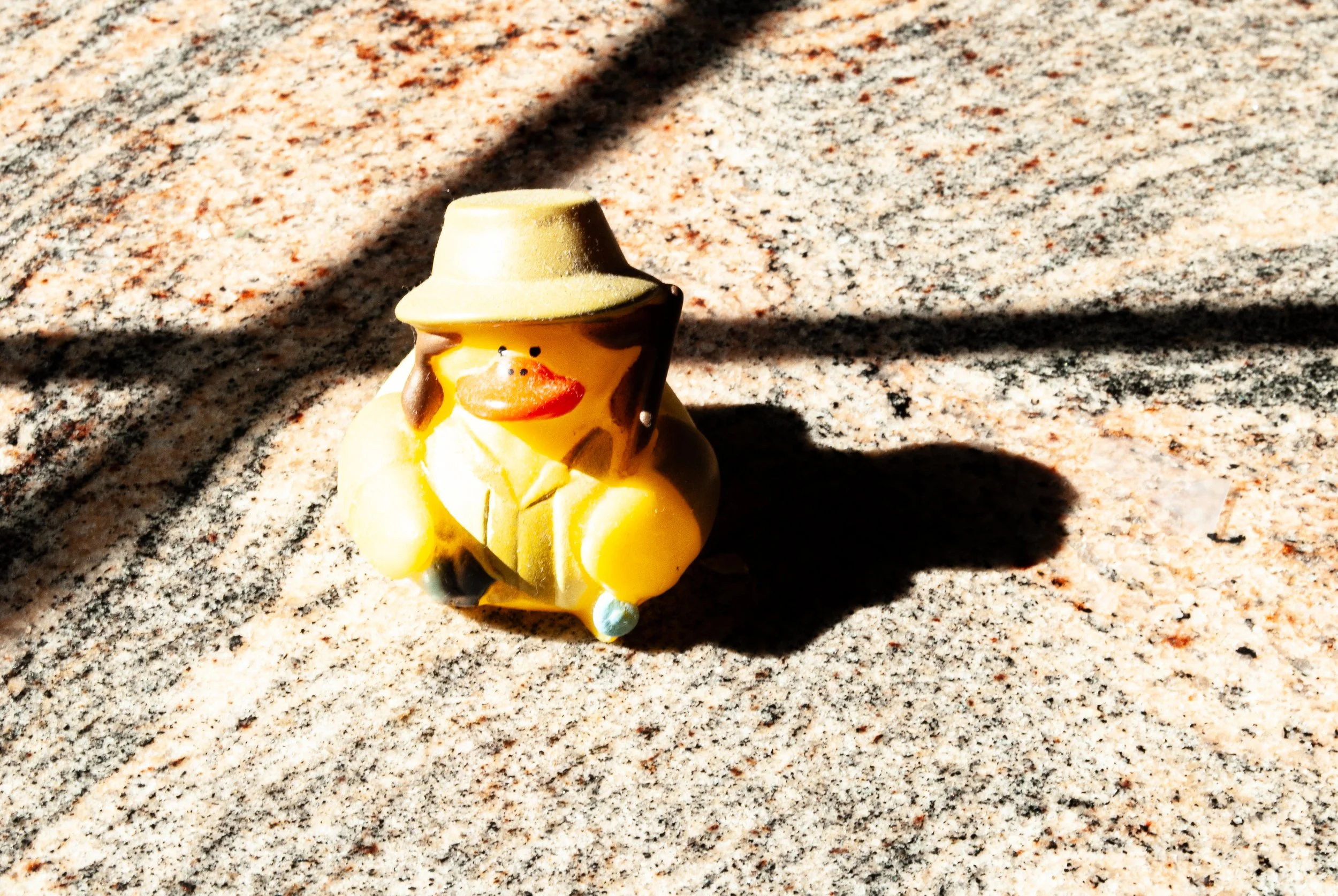 nguyenjulia_12457364_254776943_Nguyen_Julia_Light Shadow Reflection (Rubber duck).jpg