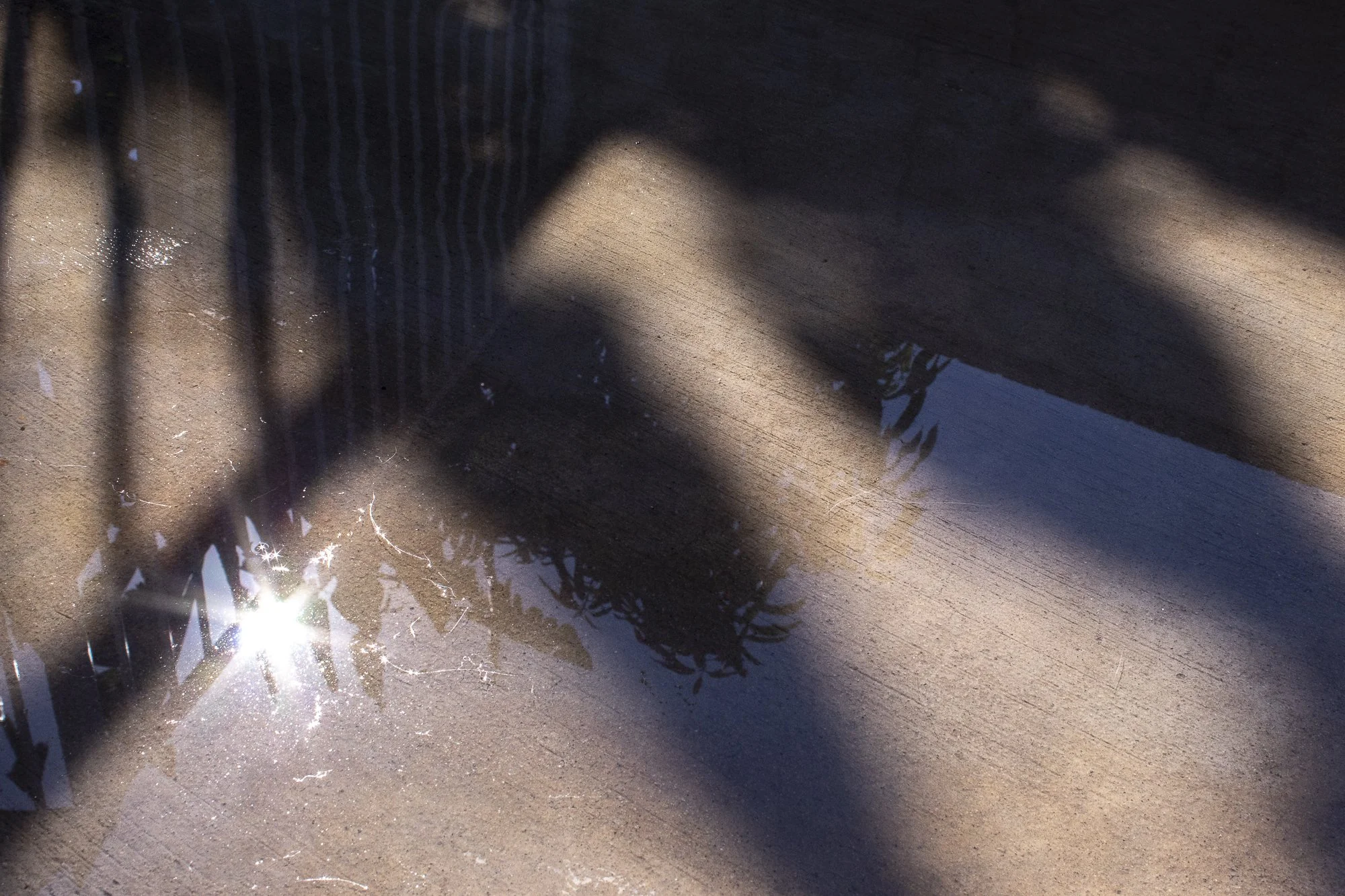 camachocassey_12393047_255113591_Camacho_Cassey_Project #1-10.jpg