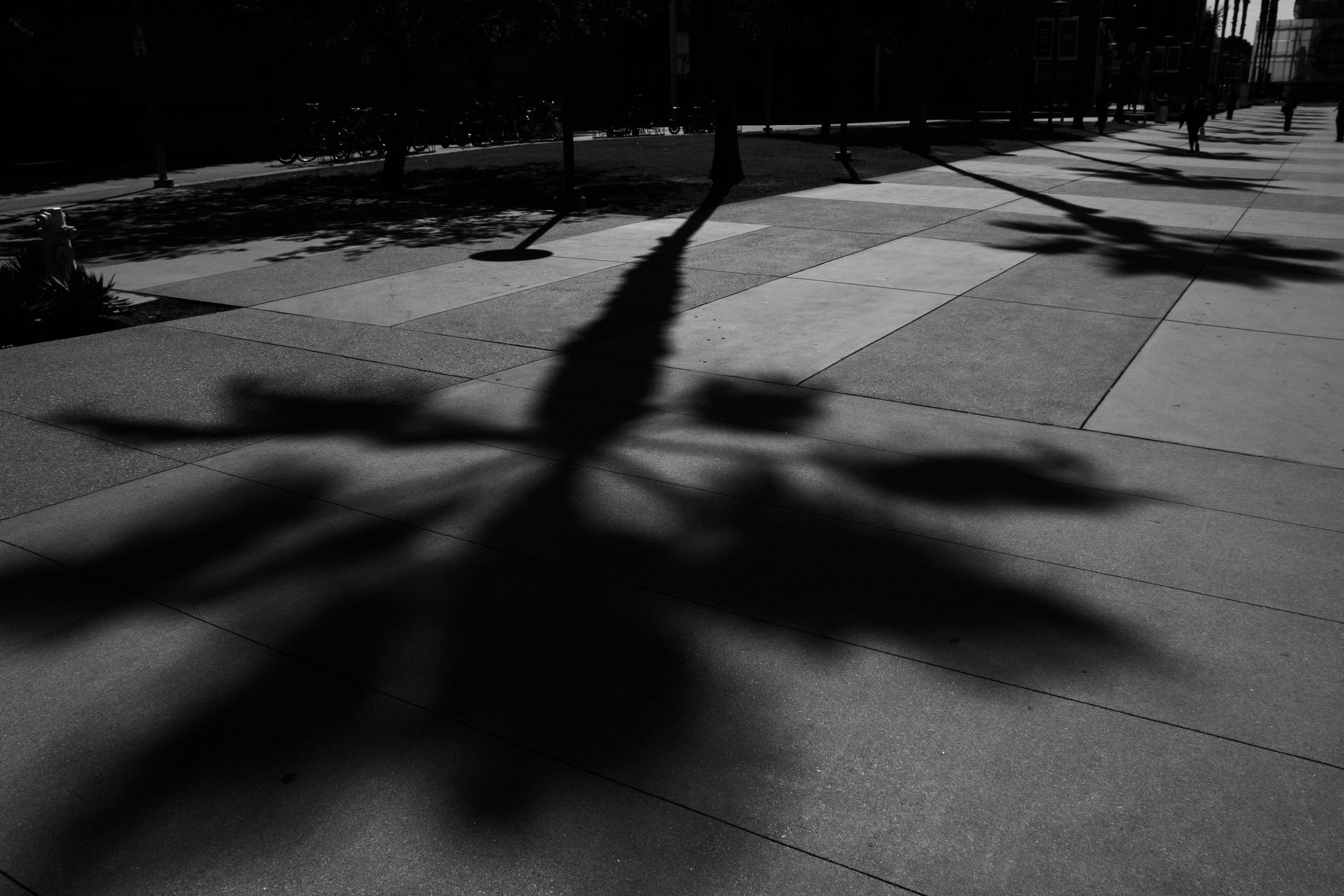 jonesmadison_12331705_255151646_Jones_Madison_Project 1-11.jpg