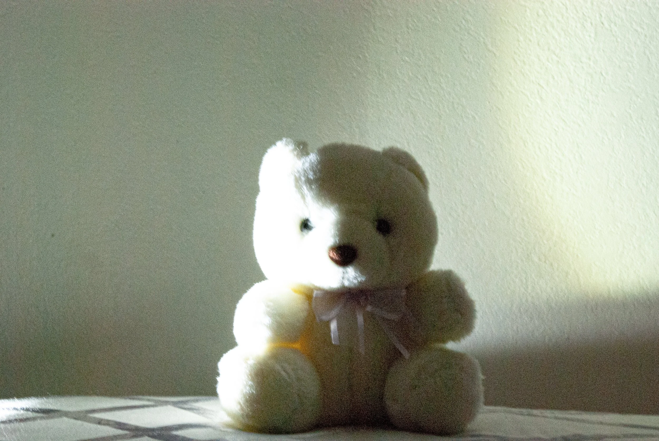 nguyenjulia_12457364_254777074_Nguyen_Julia_Light Shadow Reflection (Bear 2).jpg