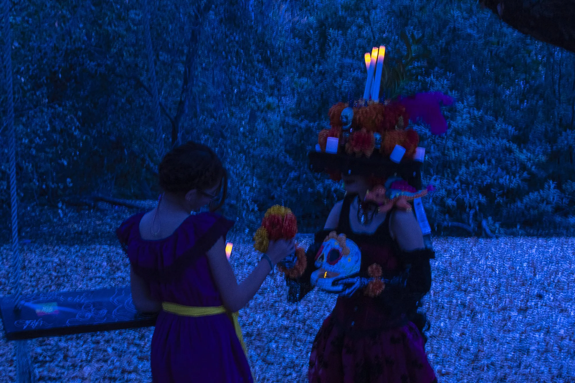 Fall 2024 - Art 338C: Creative Digital Photography