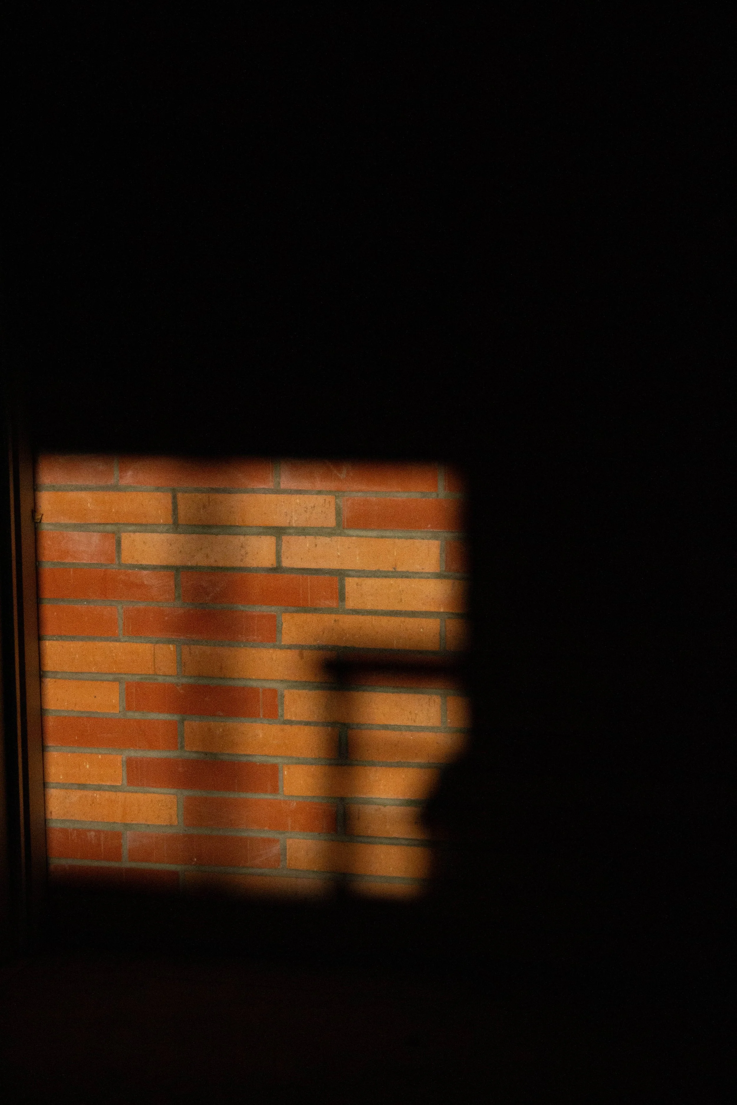 pennmadilynn_12333306_255001845_Penn_Madilynn_Project_1 (5 of 12).jpg