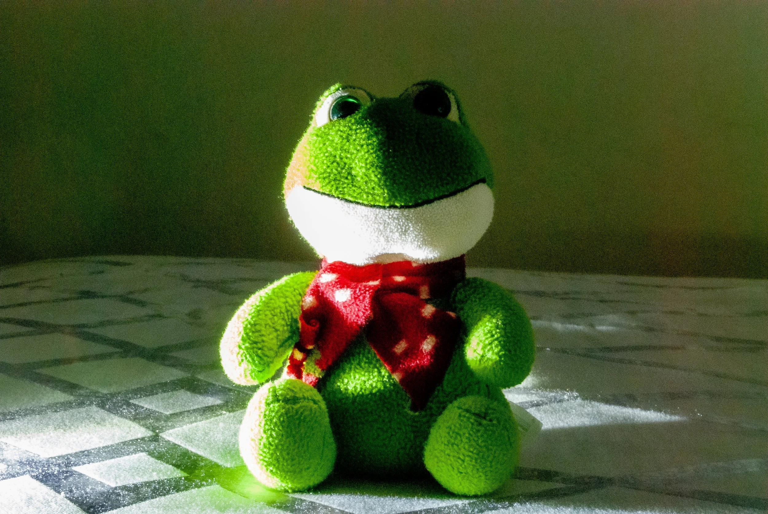 nguyenjulia_12457364_254776970_Nguyen_Julia_Light Shadow Reflection (Frog).jpg