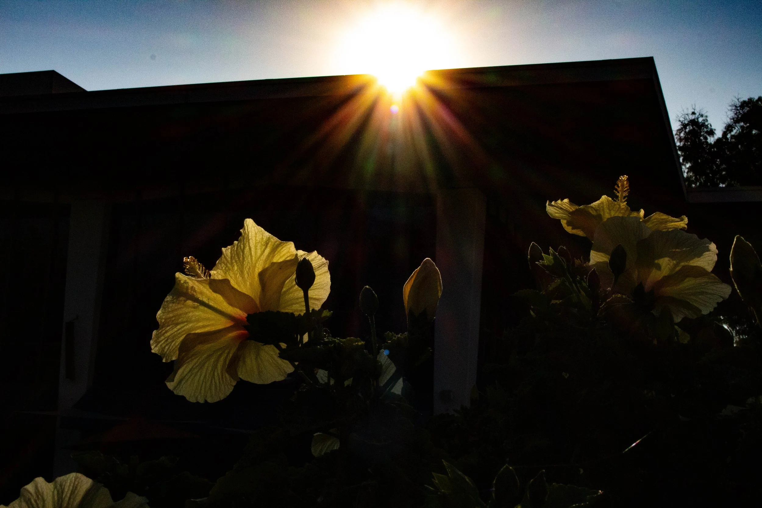 pennmadilynn_12333306_255001833_Penn_Madilynn_Project_1 (1 of 12).jpg