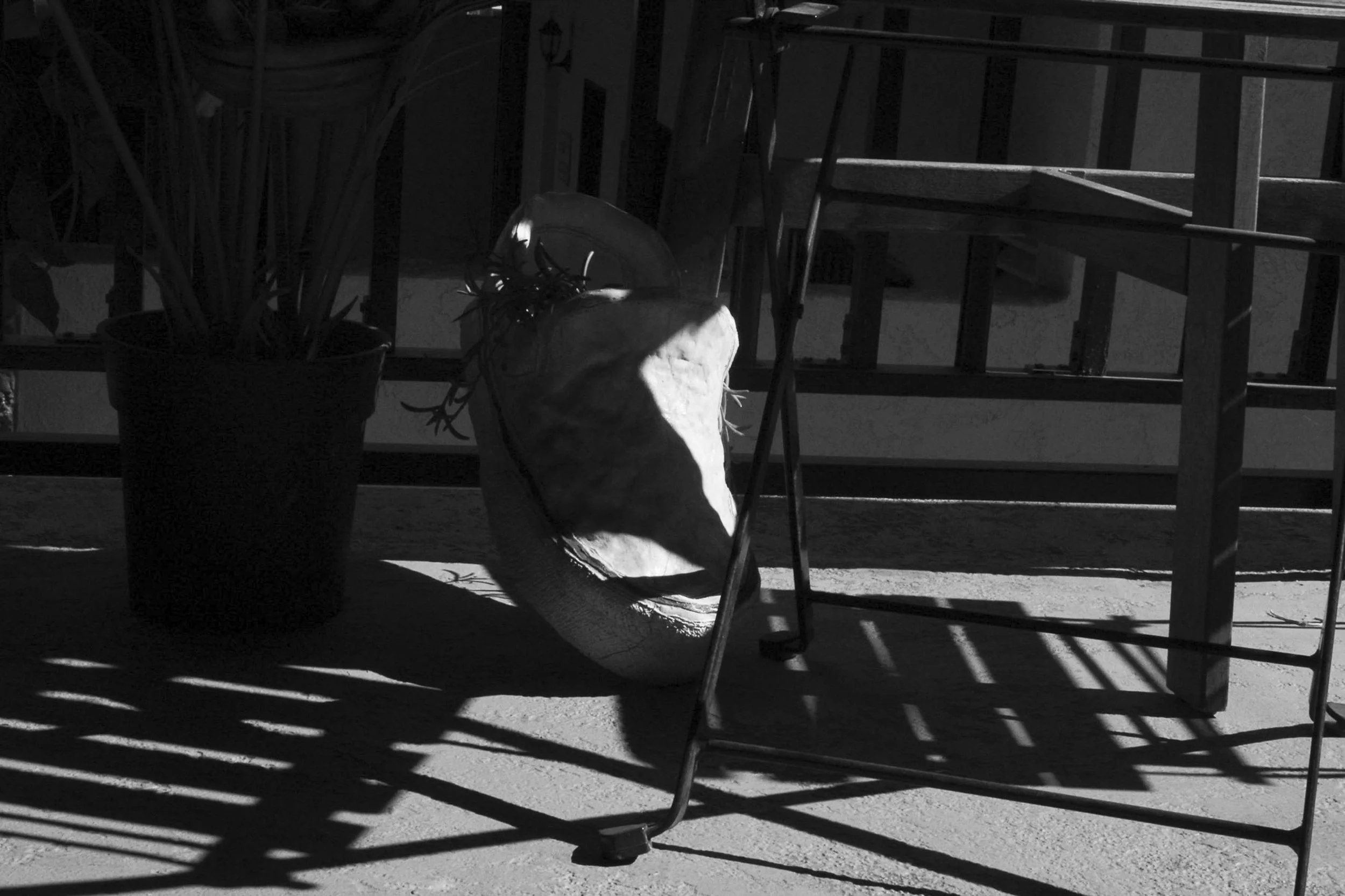 palmaandrea_9837117_255136665_Palma_Andrea_PROJECT-ceramic shoe.jpg