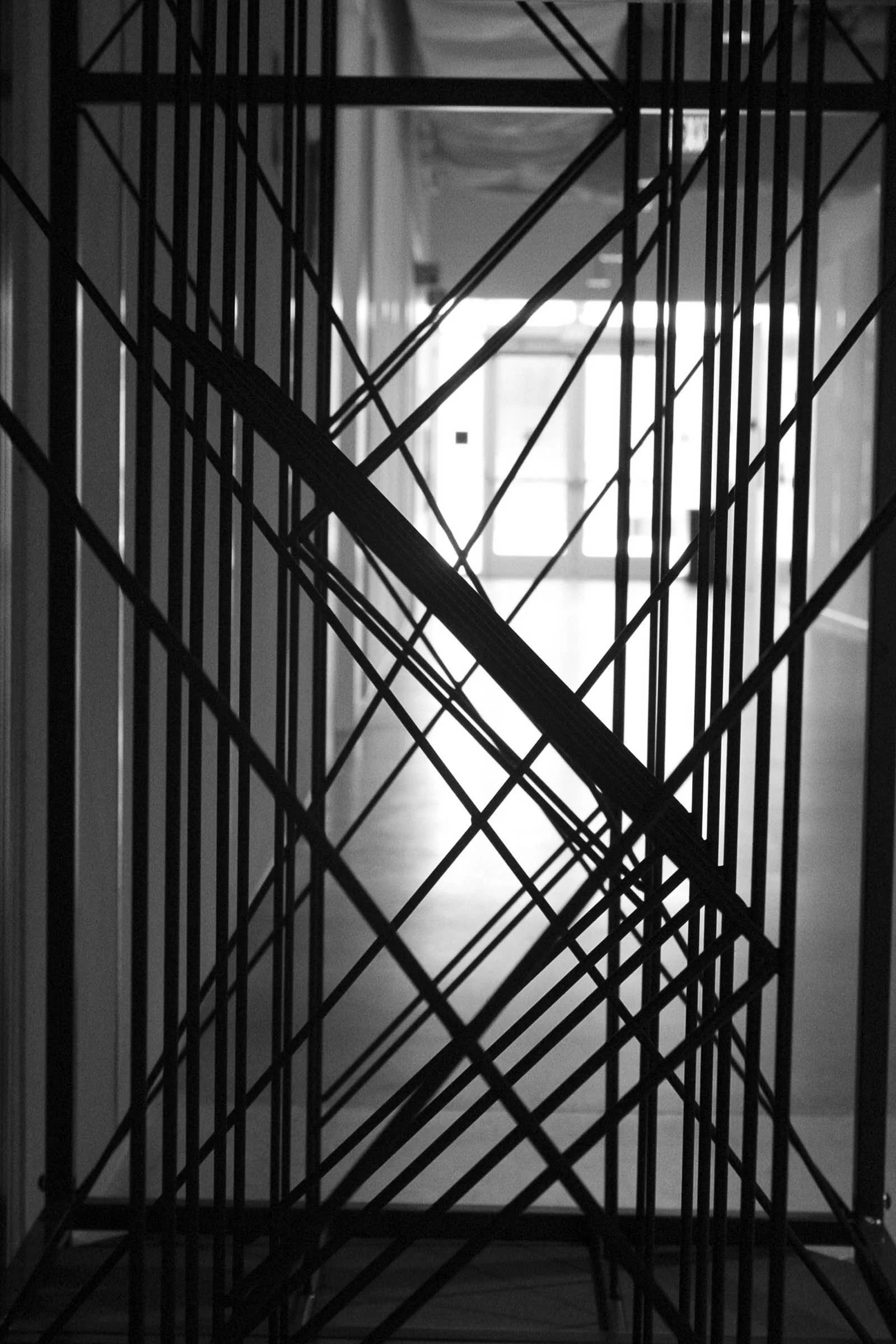 palmaandrea_9837117_255136667_Palma_Andrea_PROJECT-lines.jpg