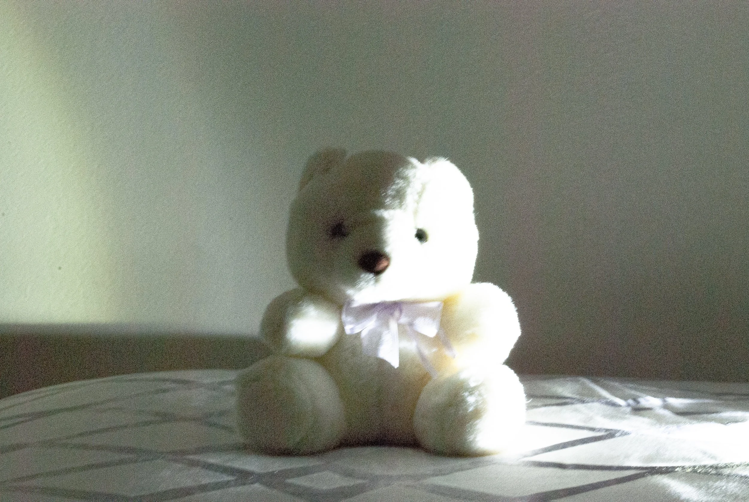 nguyenjulia_12457364_254777051_Nguyen_Julia_Light Shadow Reflection (Bear 3).jpg