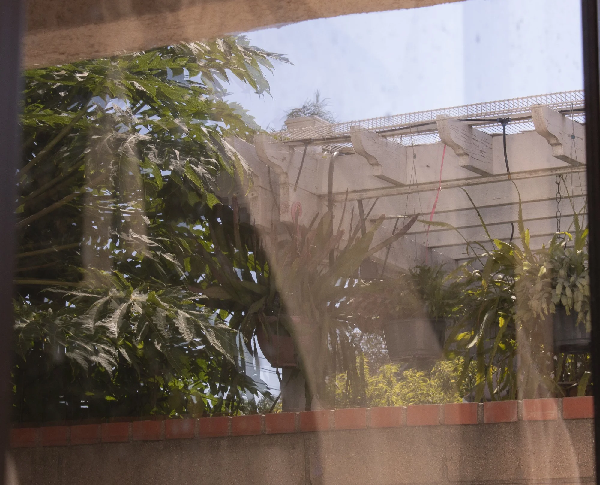 camachocassey_12393047_255113586_Camacho_Cassey_Project #1-8.jpg