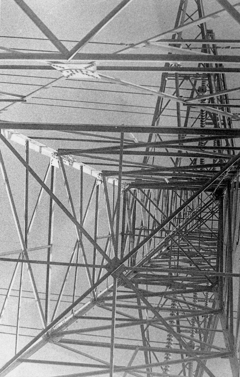 Jacqueline V. - Electric Lines