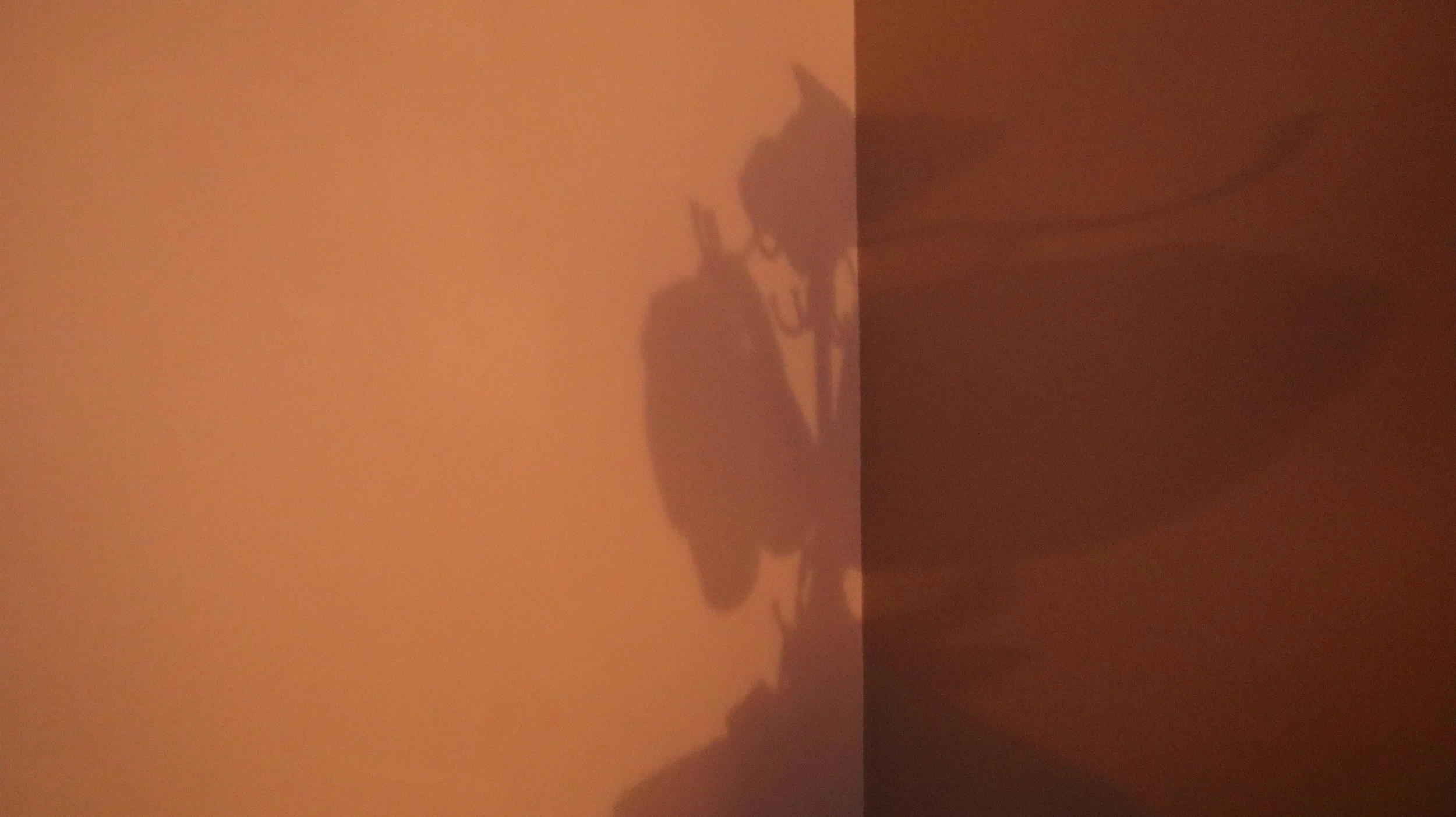 camachohermes_10299168_255149672_Camacho_Hermes_project_1 (5).JPG