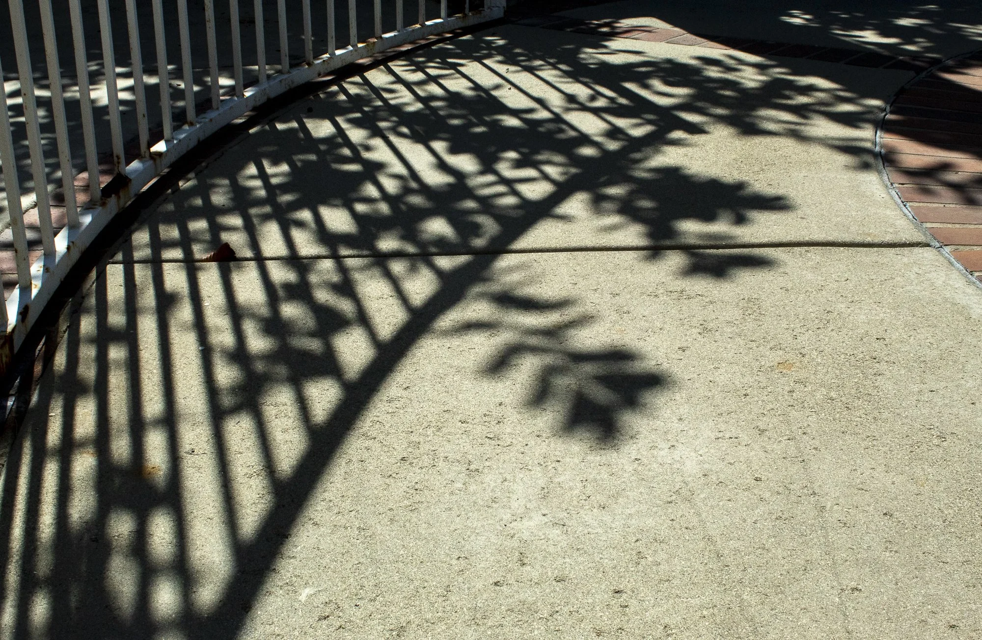 camachocassey_12393047_255113568_Camacho_Cassey_Project #1-1.jpg