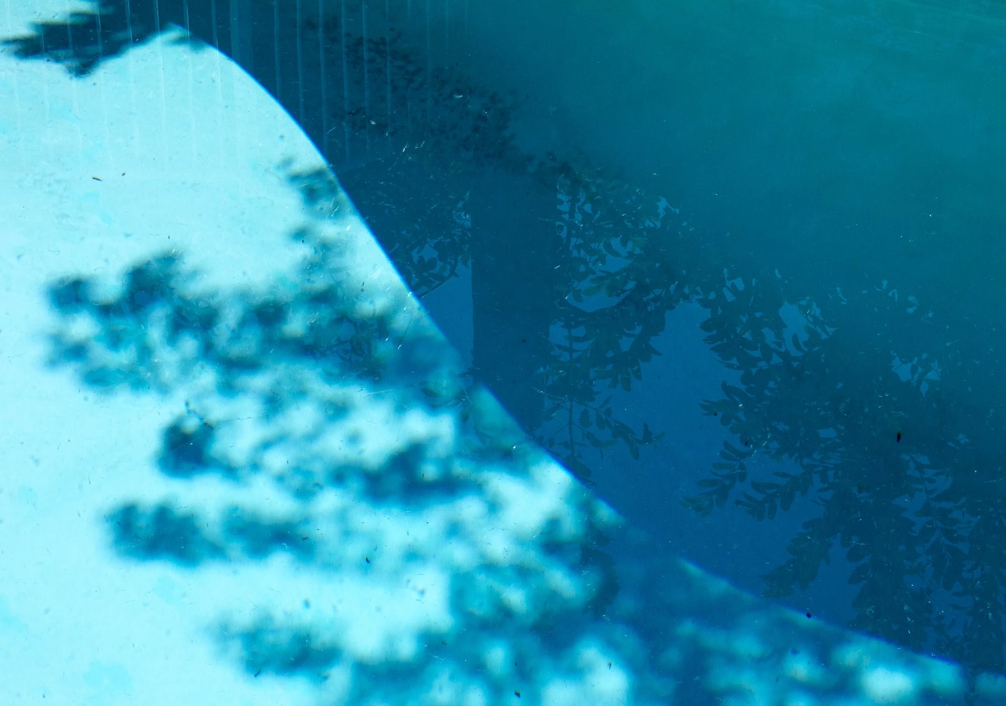 camachocassey_12393047_255113583_Camacho_Cassey_Project #1-5.jpg