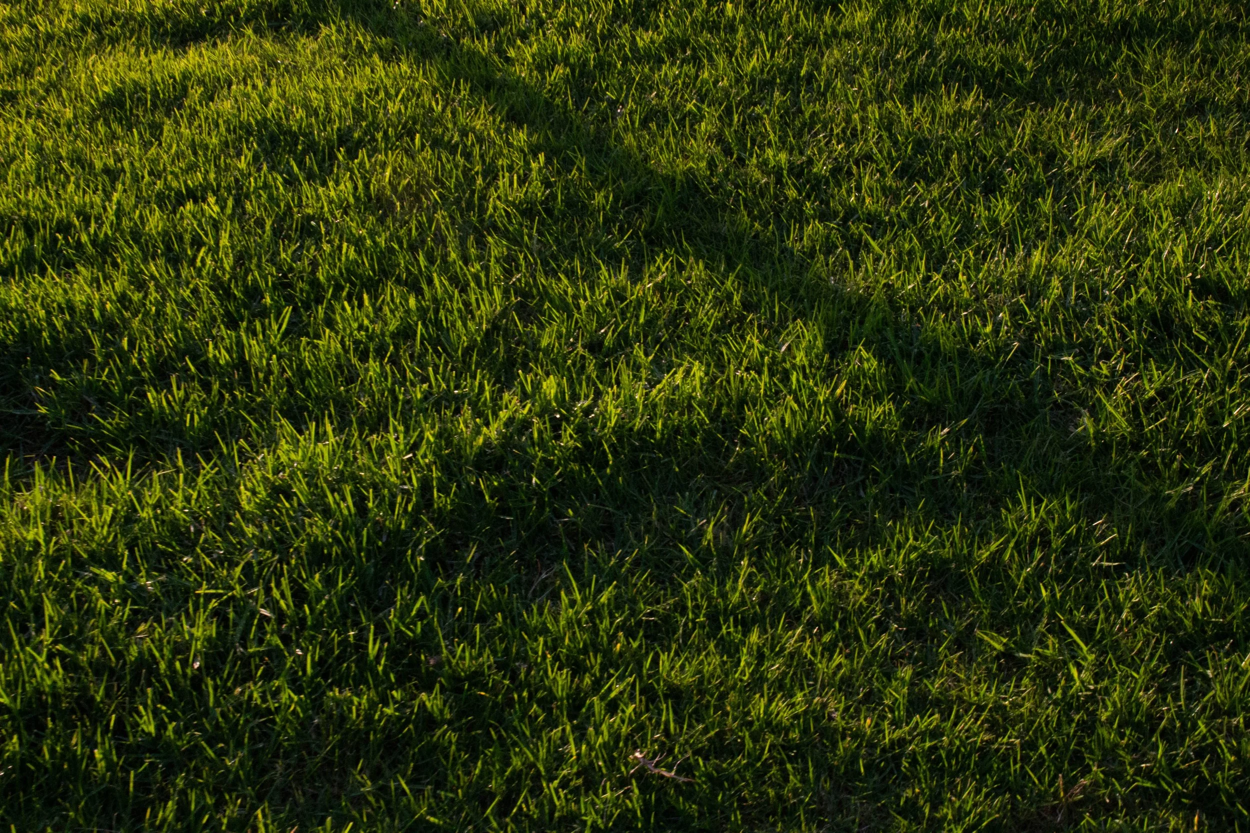 pennmadilynn_12333306_255001858_Penn_Madilynn_Project_1 (9 of 12).jpg