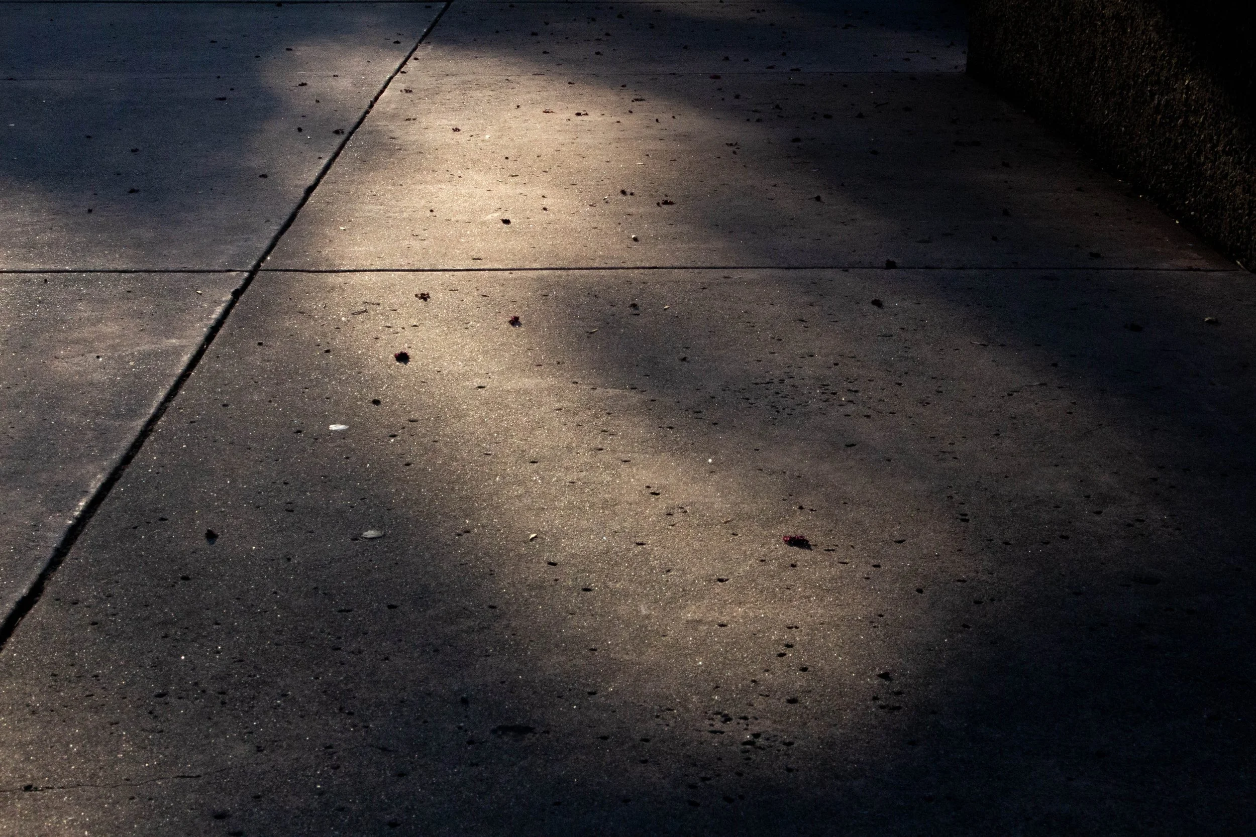 pennmadilynn_12333306_255001840_Penn_Madilynn_Project_1 (3 of 12).jpg