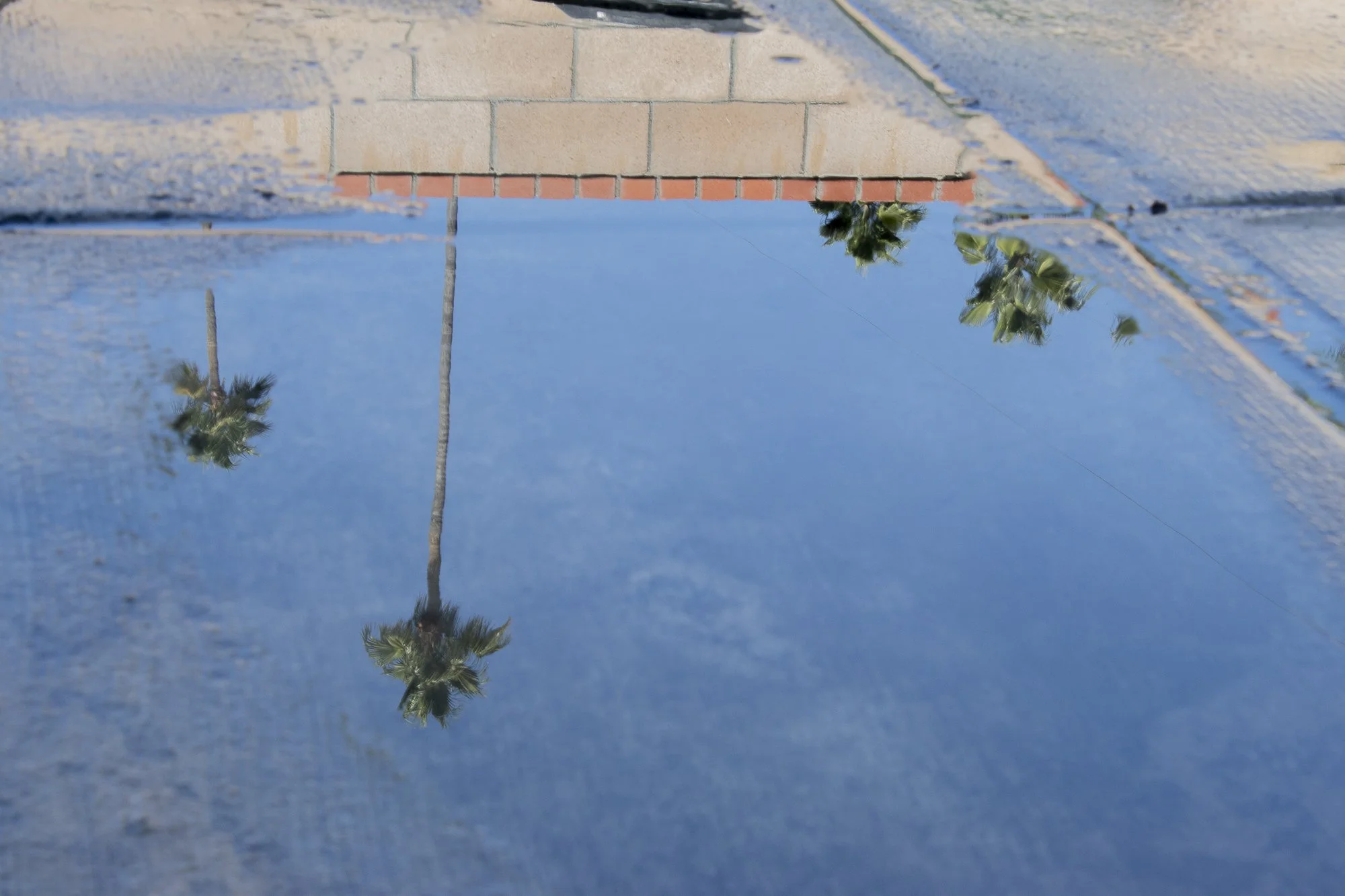 camachocassey_12393047_255113593_Camacho_Cassey_Project #1-11.jpg