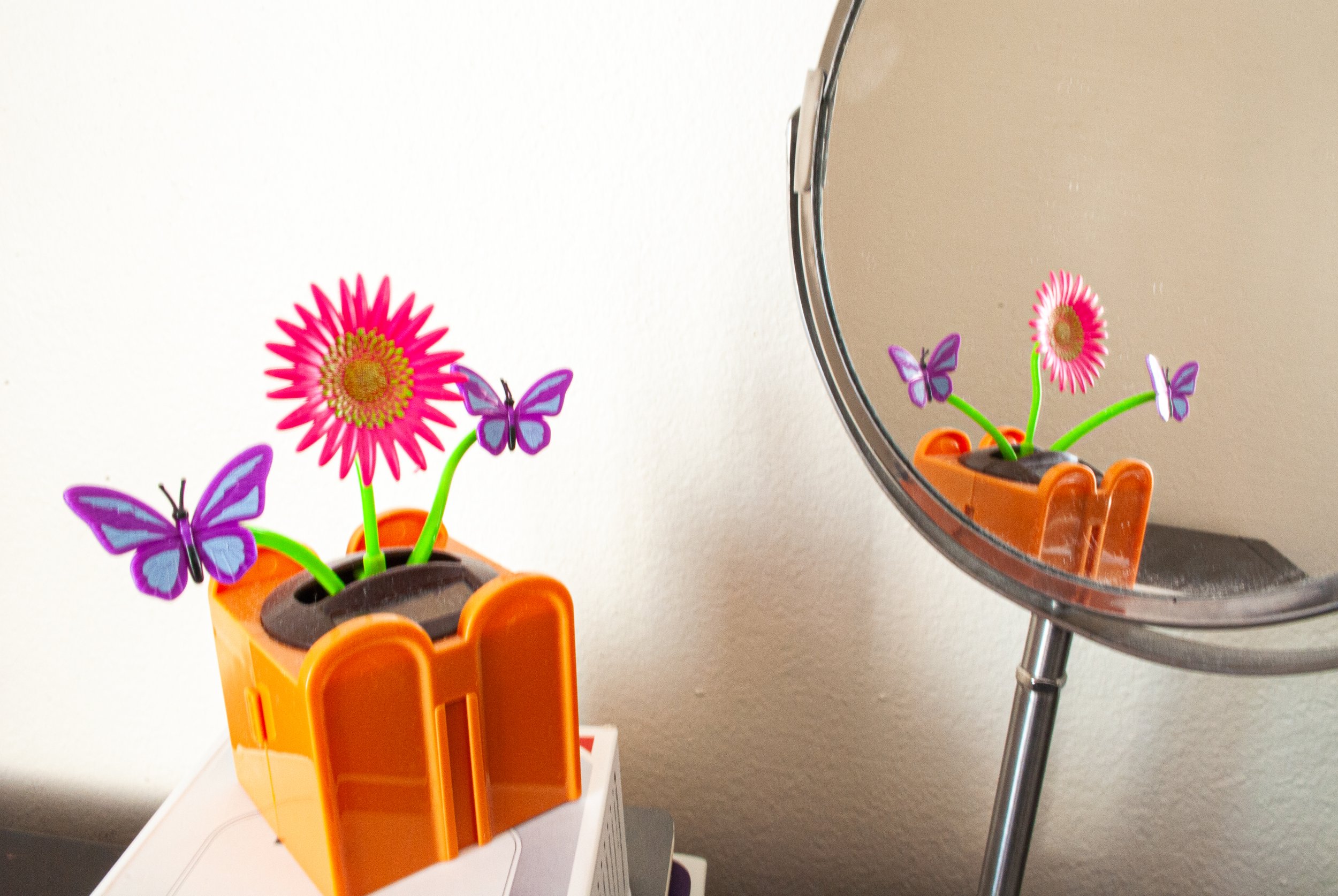 nguyenjulia_12457364_254776979_Nguyen_Julia_Light Shadow Reflection (Flower).jpg