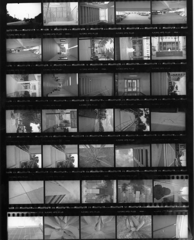 Julio C. - Project 2: Leading Lines - Contact Sheet