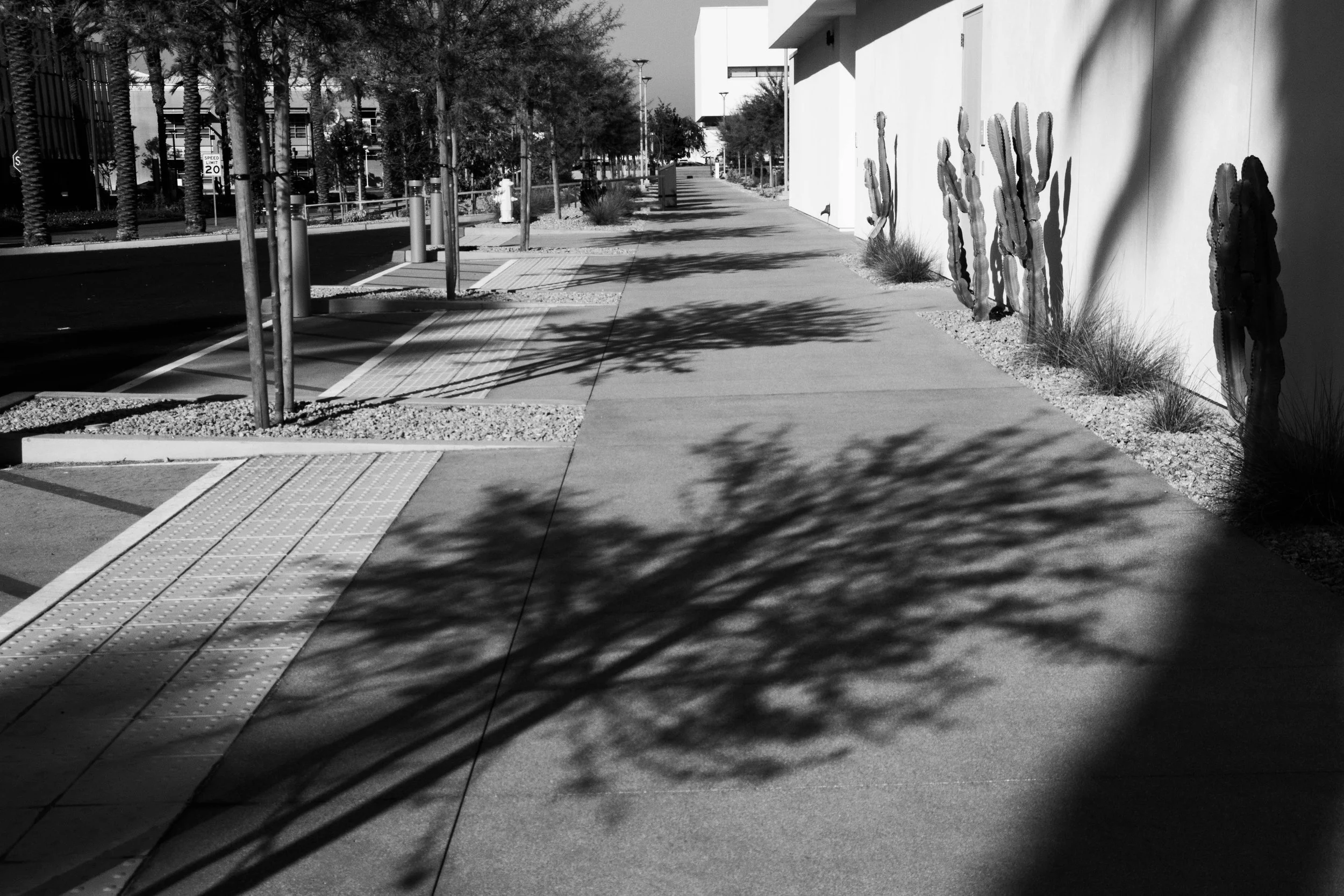 jonesmadison_12331705_255151638_Jones_Madison_Project 1-8.jpg