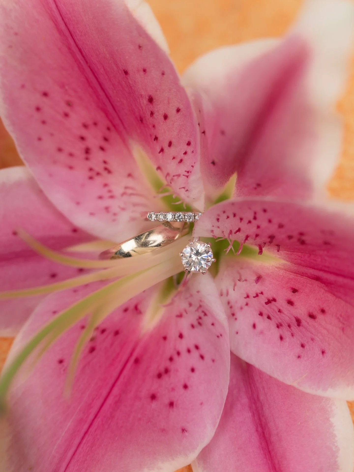 💍 To have and to hold 🤍

Vancouver wedding photographer - Wedding photography Vancouver - Patricia Photo - patriciaphoto.com - Wedding rings