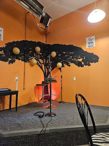 Stage with a backdrop of a tree silhouette painted on an orange wall, with several stage lights, a microphone stand, a chair, and a small table in an indoor setting.