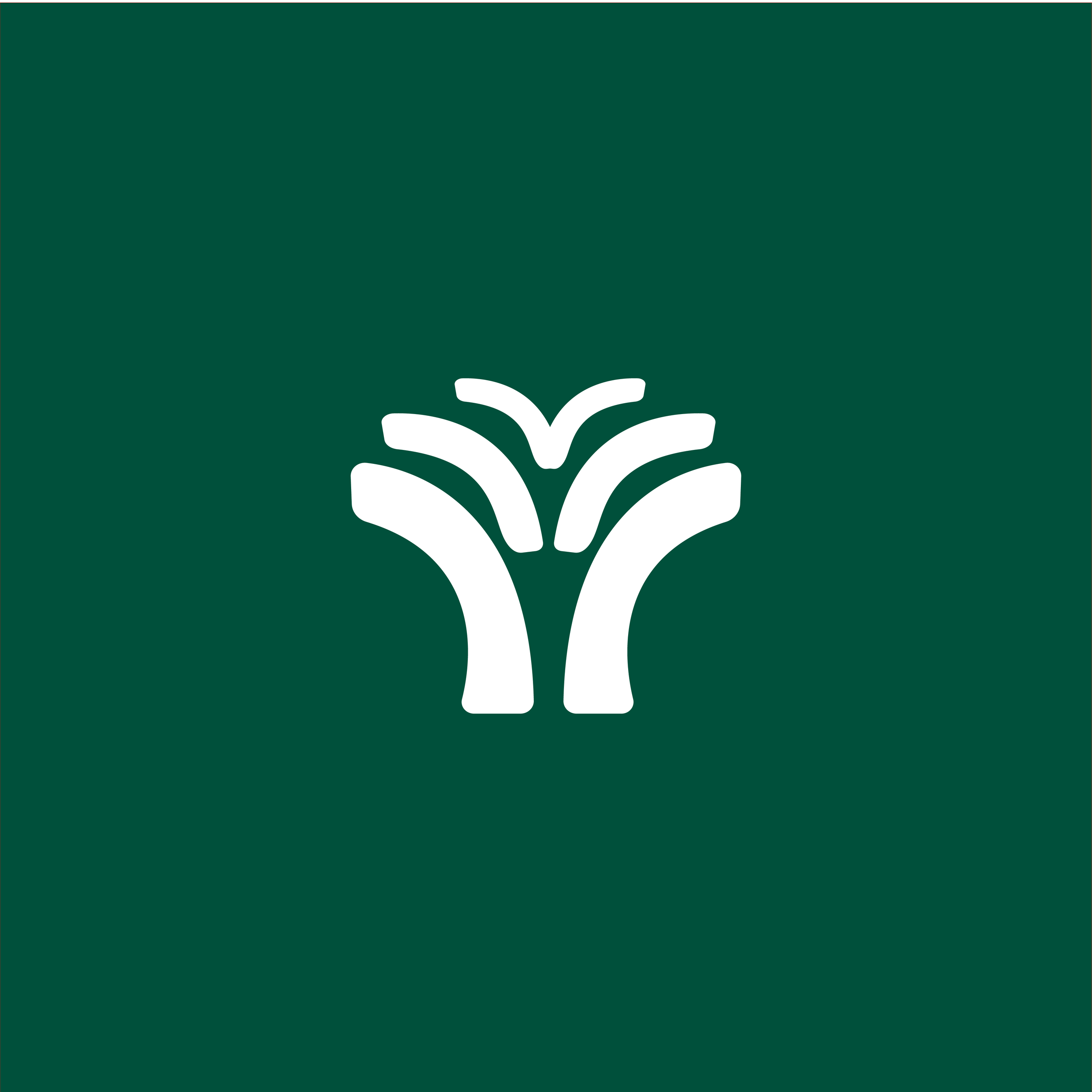 logo O_trademark blanc fond vert.png