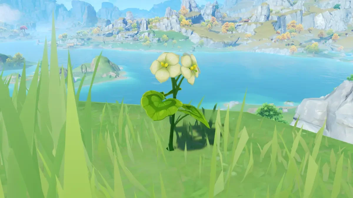 Genshin-Qingxin-flower.webp