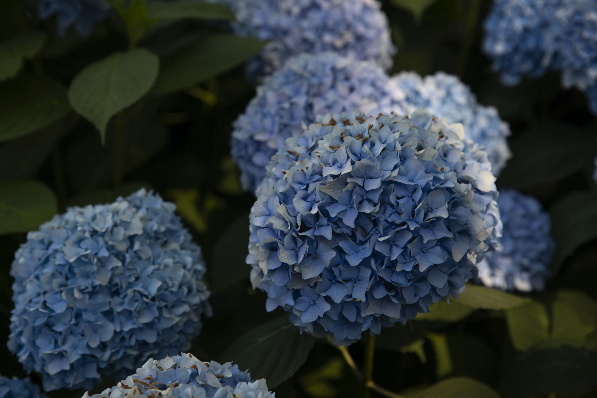IMG_9571.PNG