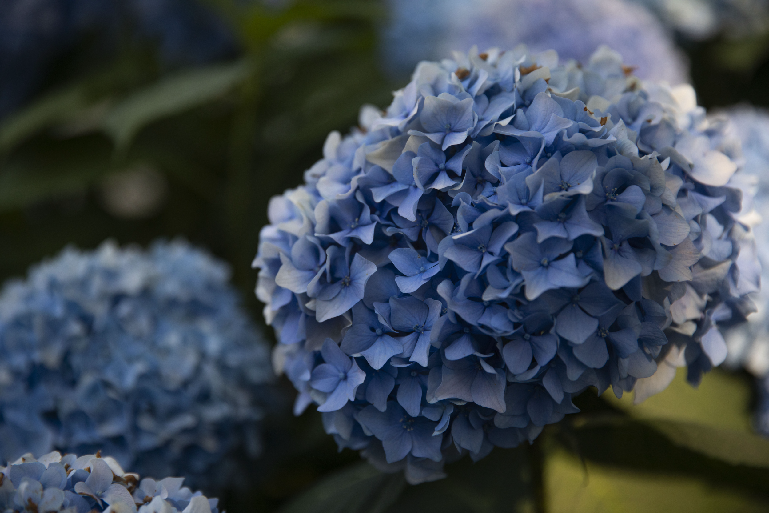 IMG_9572.PNG