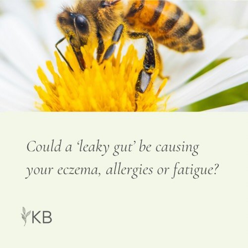 💥 Could a &ldquo;leaky gut&rdquo; be behind your eczema, allergies, or fatigue? 💥

Your gut barrier is your body&rsquo;s first line of defense - and when it&rsquo;s weakened, particles that shouldn&rsquo;t be in your bloodstream can trigger immune 