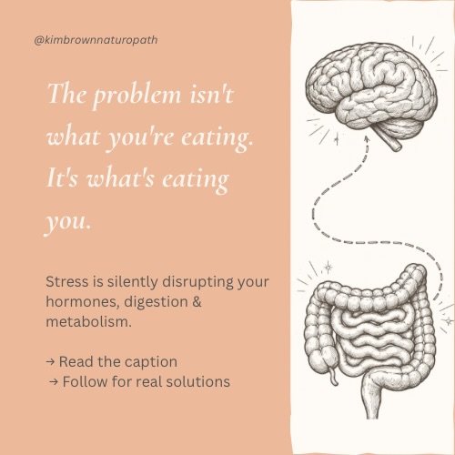 Stress does not just affect your mood. It reshapes your hormones, metabolism and digestion.

When stress is constant, your body produces cortisol more frequently. Over time, cells become less responsive to cortisol. This is often referred to as corti