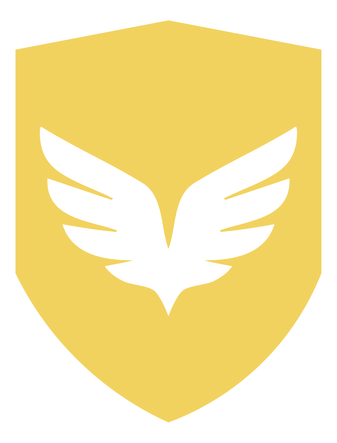 Triumph Barbell