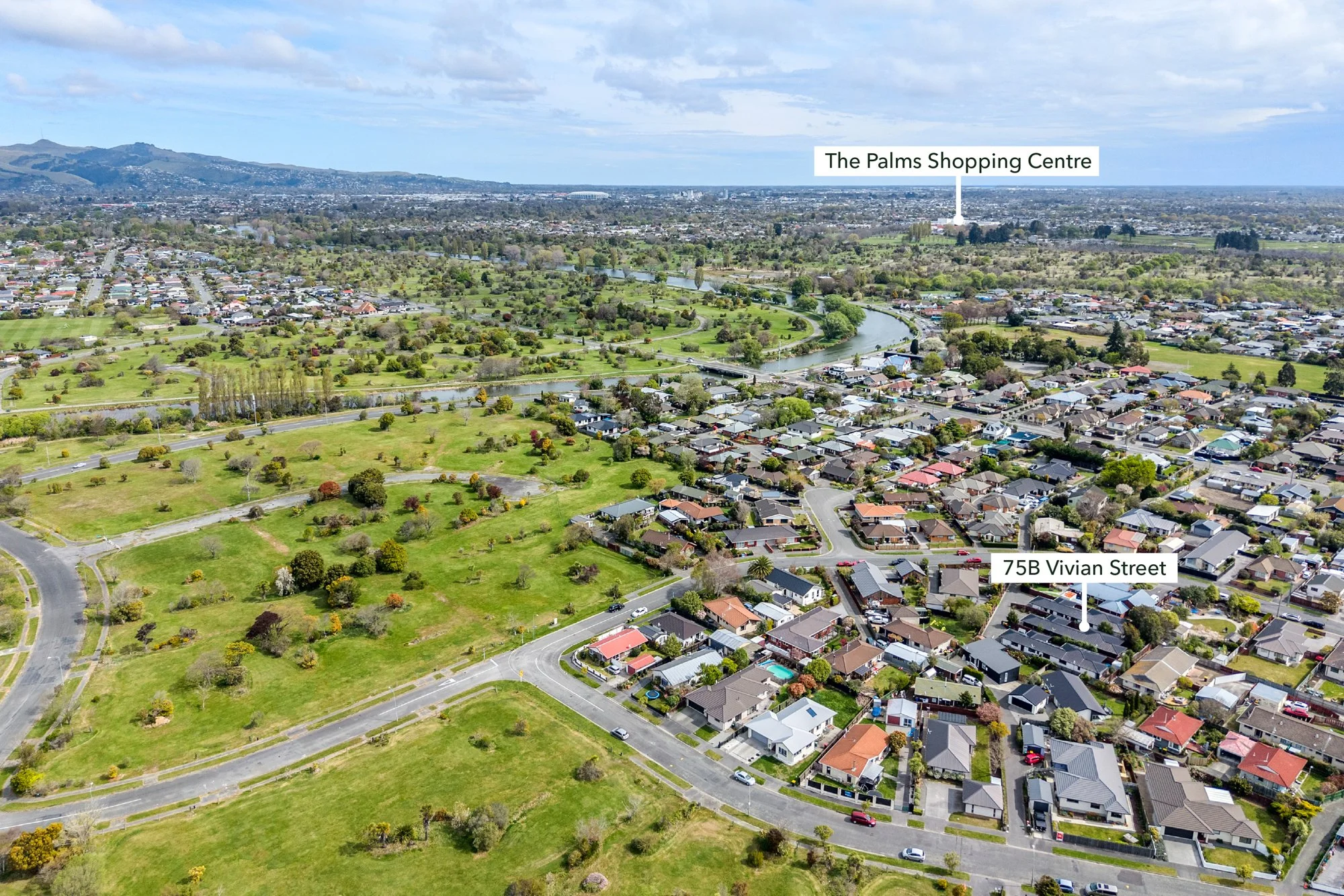 Shane Langman Hackthorne - 75B Vivian Street Burwood-30.jpg
