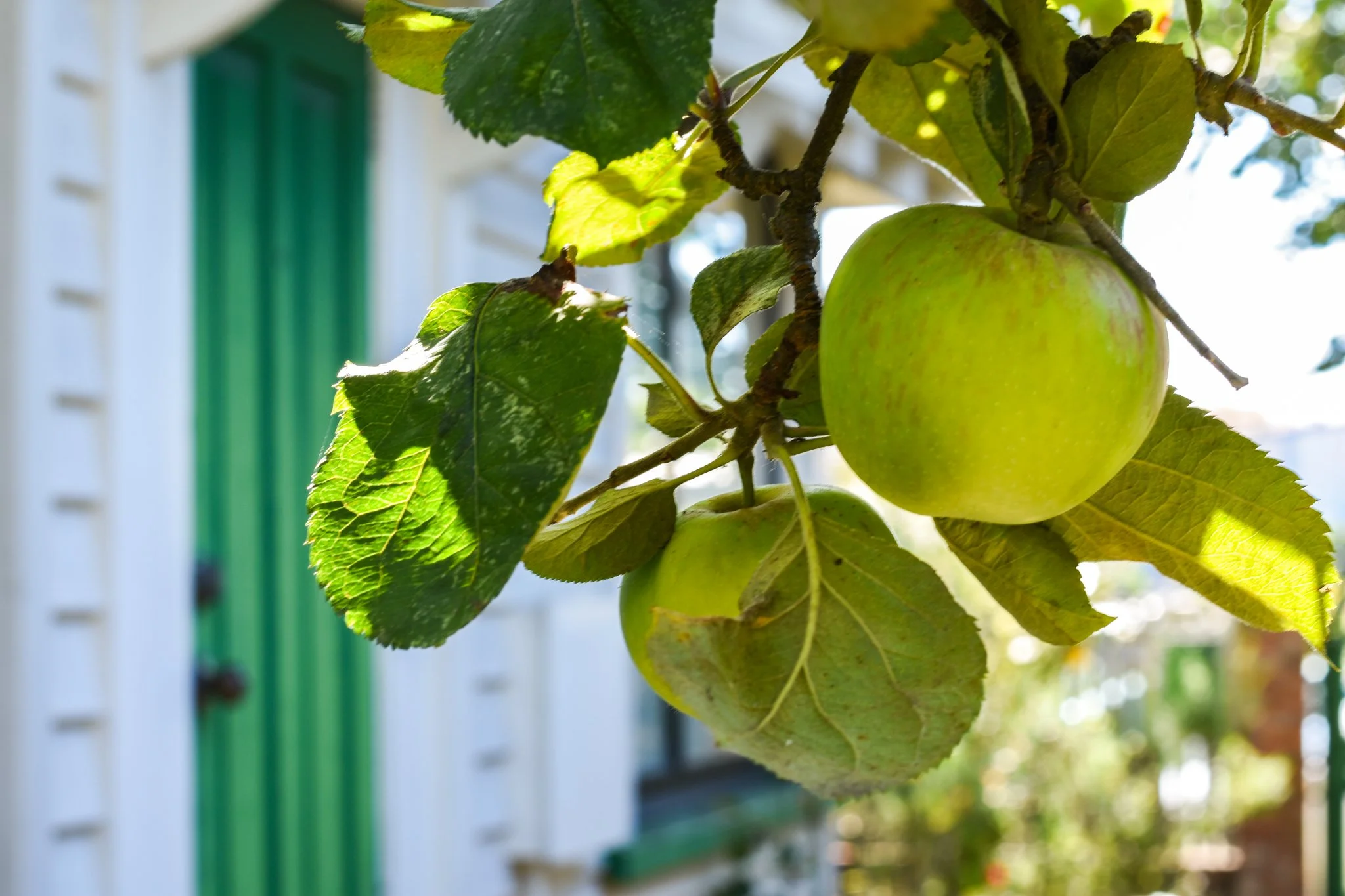 11 Bartlett Street Riccarton Shane Langman Hackthorne-28.jpg