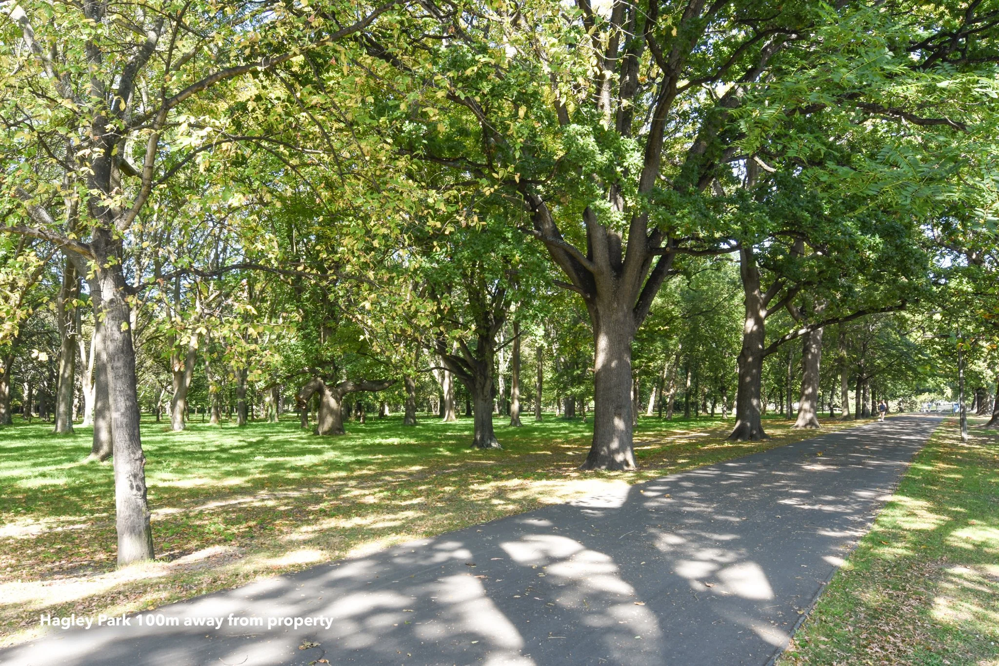 11 Bartlett Street Riccarton Shane Langman Hackthorne-01.jpg