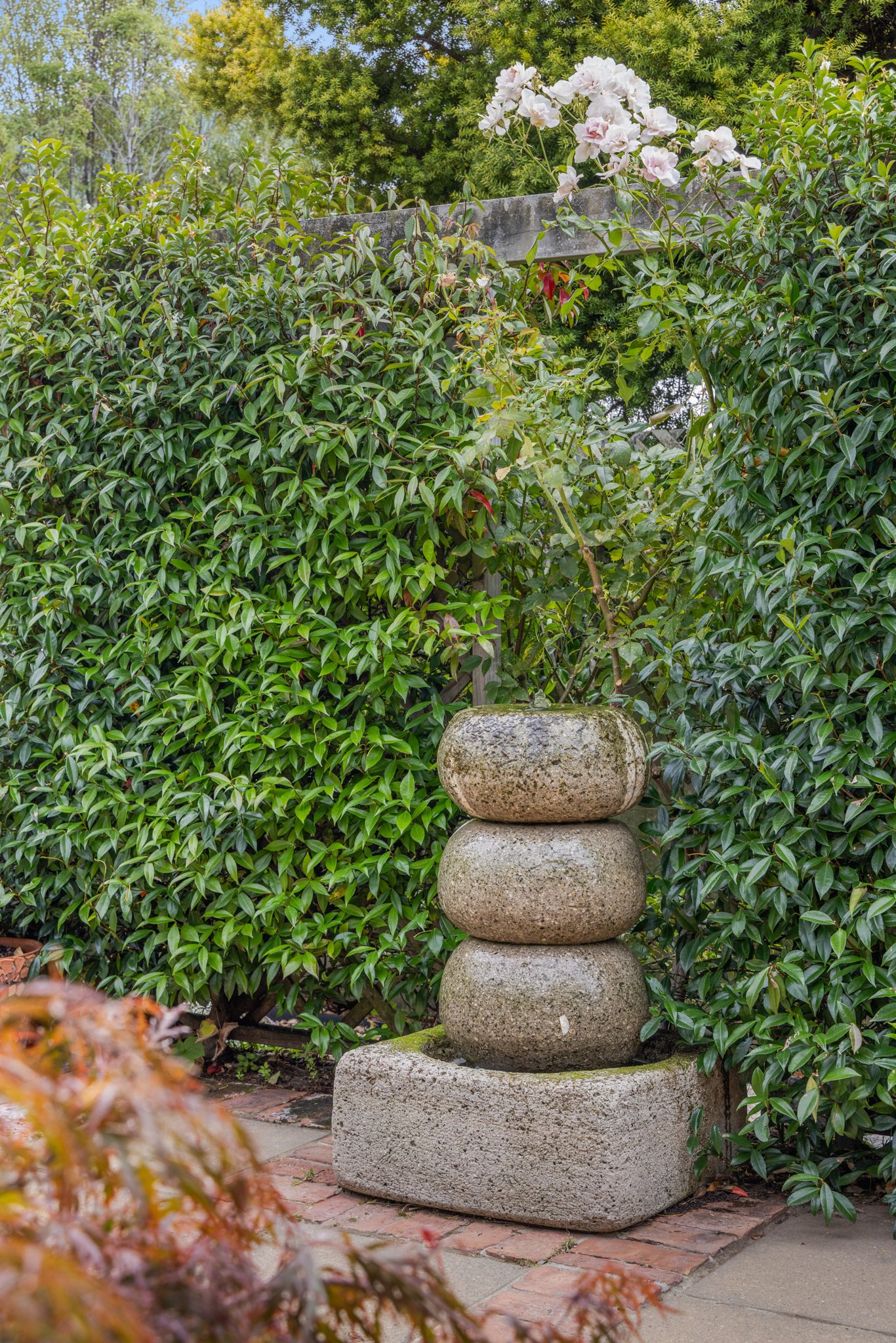 7 Malthouse Lane Heathcote Valley Hackthorne Shane Langman-03.jpg