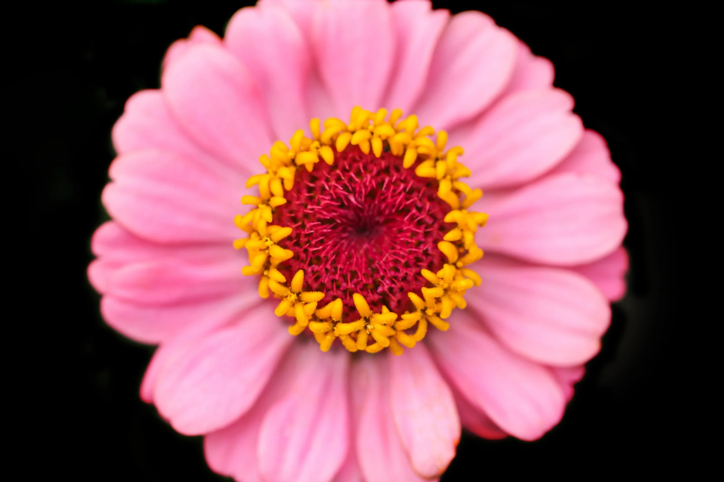 Sacred Core_DeborahMoilan_082025.jpg