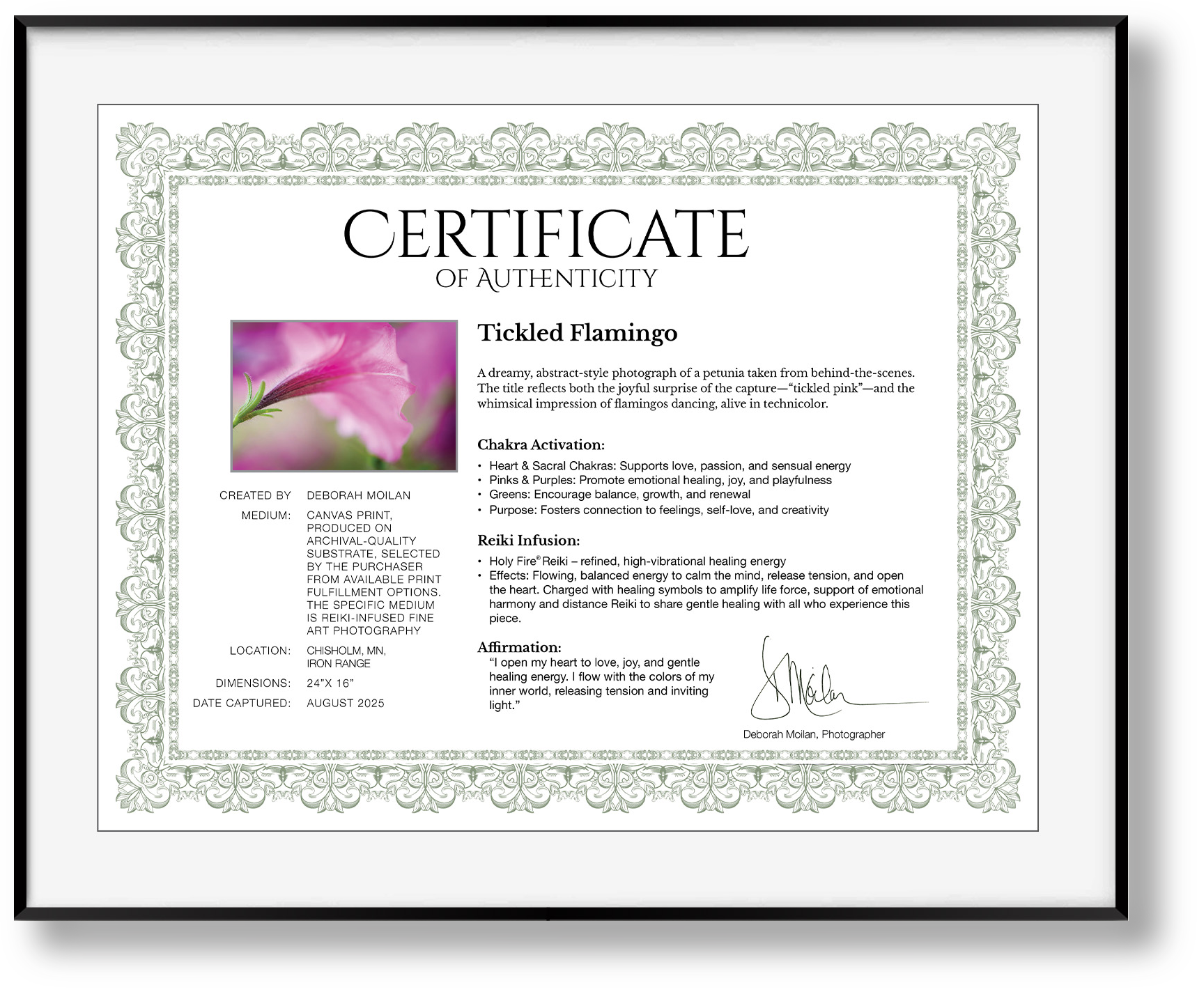 A framed certification of authenticity for a piece titled 'Tickled Flamingo,' featuring a pink flower photograph, detailed descriptions, creator information, and decorative border.