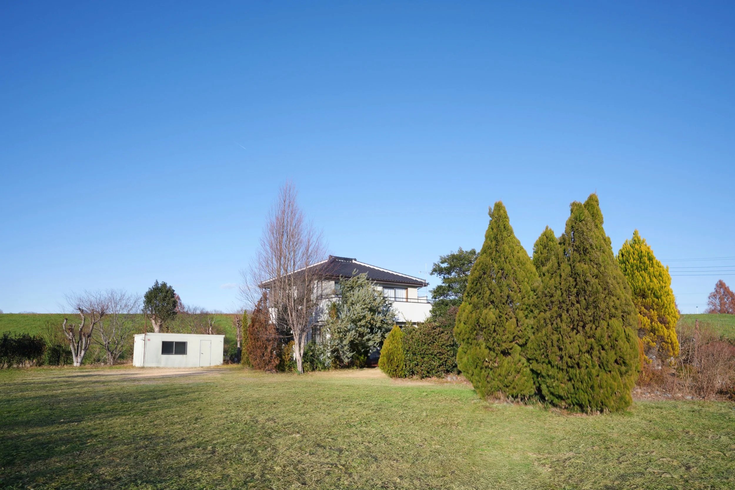 青空の下に家と多くの木々がある風景