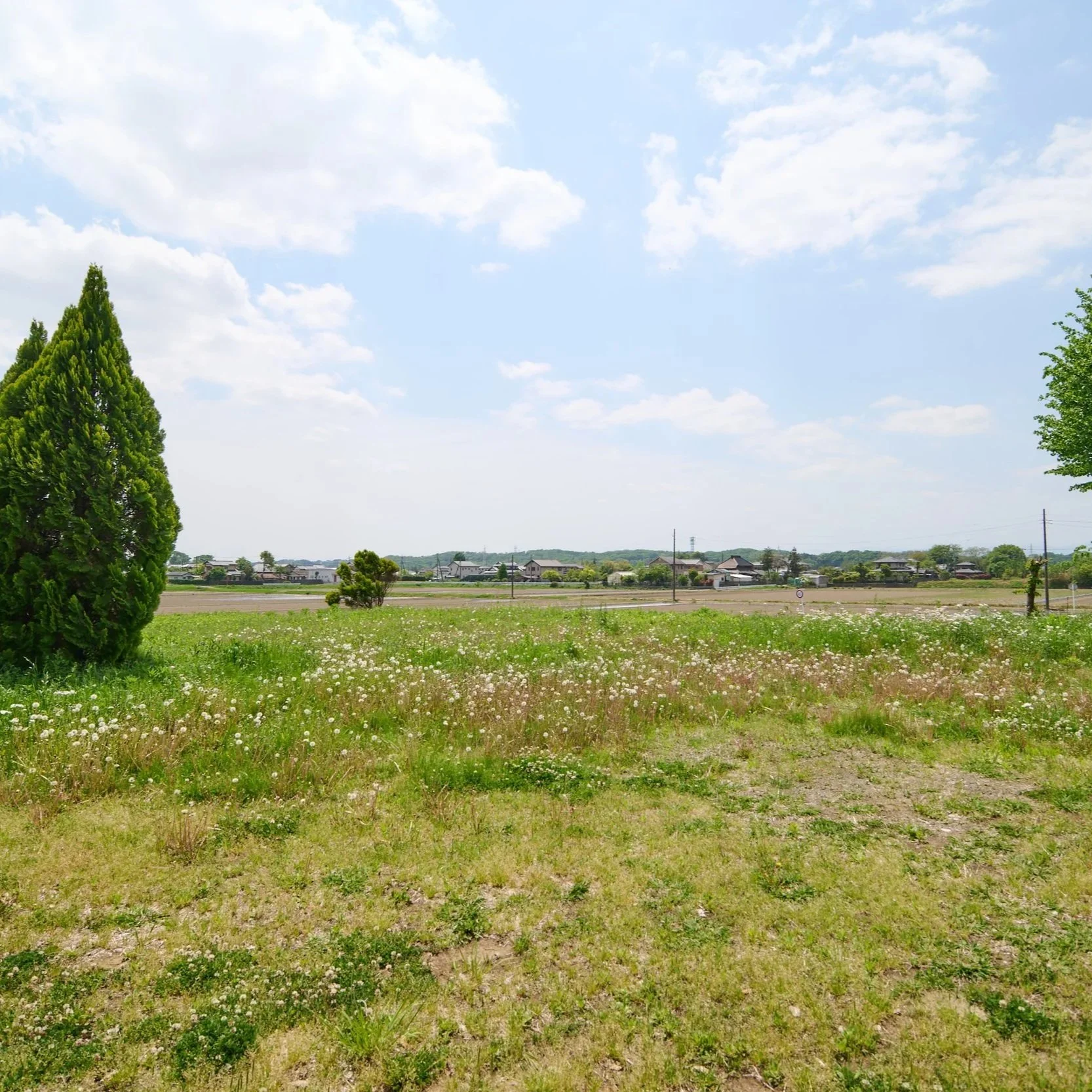 広々とした田畑と青空、所々に木が点在し、遠くに小さな住宅街が見える風景