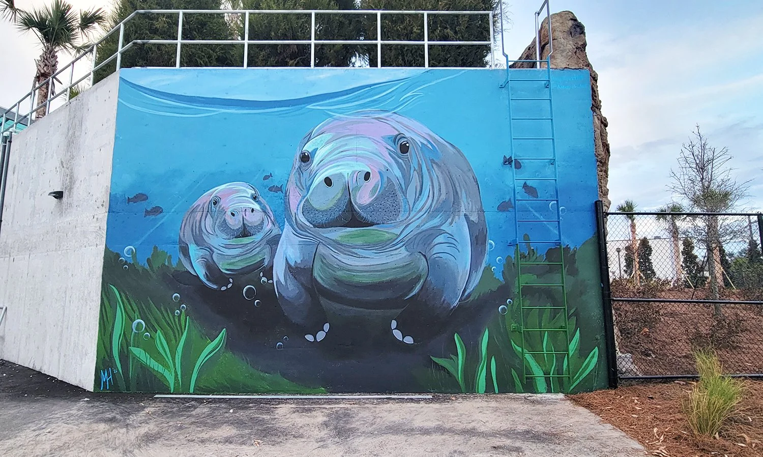 Jacksonville Zoo Manatee Mural