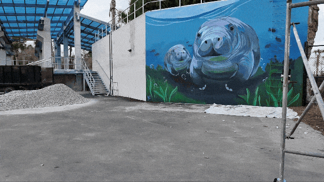 JAX Zoo Manatee Mural 6 - Website.gif