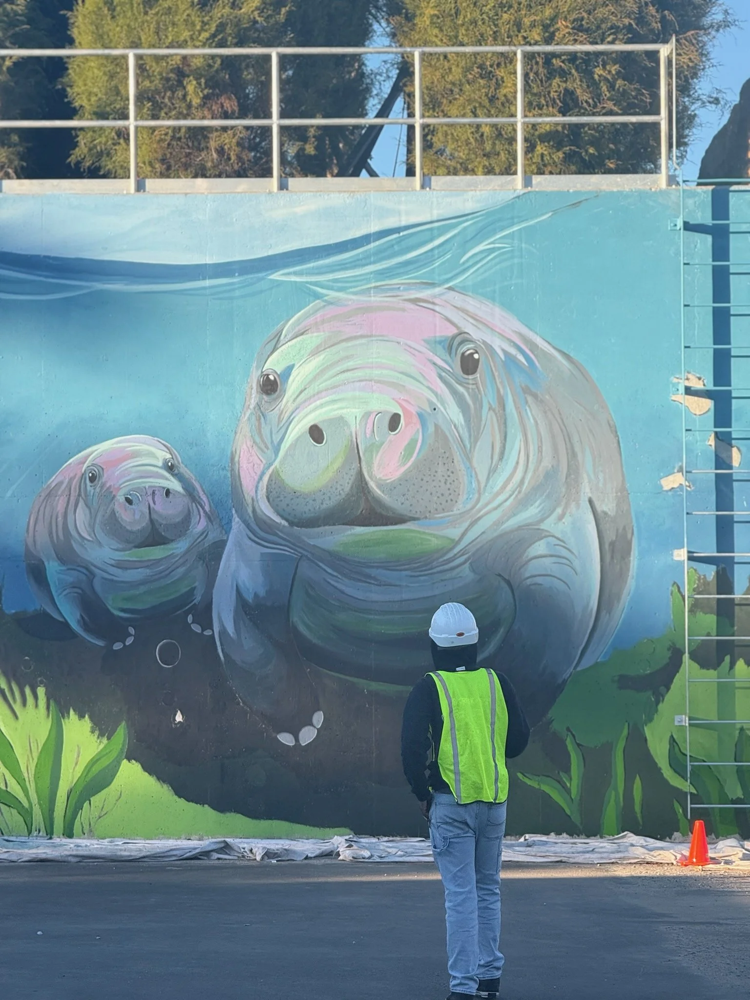 JAX Zoo Manatee Mural 3 - Website.jpg