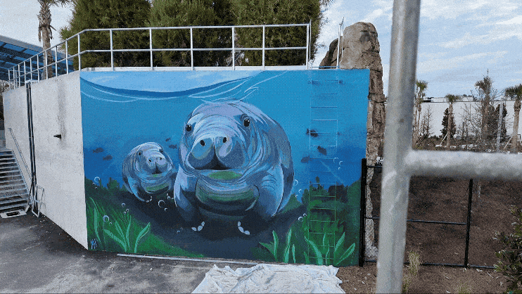 JAX Zoo Manatee Mural 7 - Website.gif